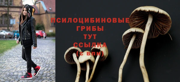 МДПВ Кукмор