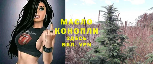 дмт Лабытнанги