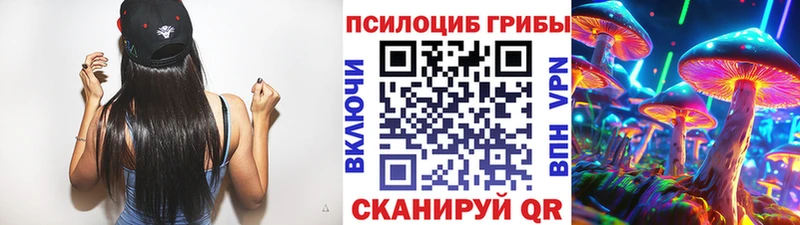 купить наркотик  Прокопьевск  Псилоцибиновые грибы Psilocybine cubensis 