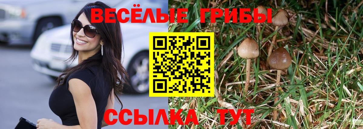 Псилоцибиновые грибы Psilocybe  Прокопьевск 